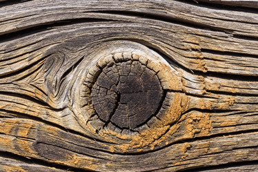 Similar image 11502991