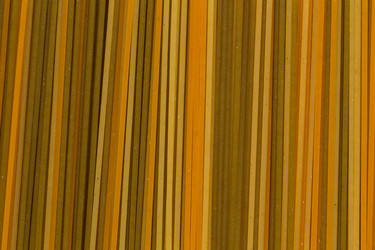 Similar image 11503005