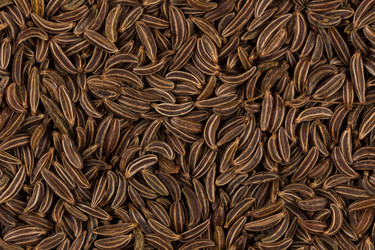 Similar image 11503010