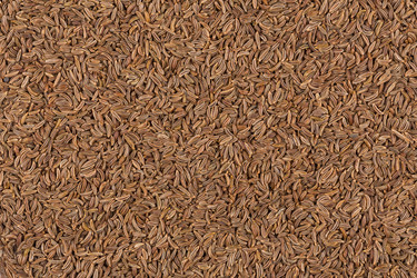 Similar image 11503028