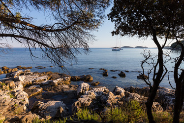 Similar image 11503029