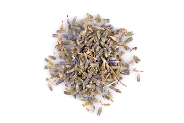 Similar image 11503047