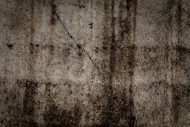 Similar image 11503050