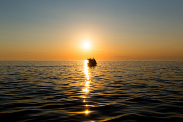 Similar image 11503084