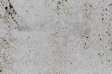 Similar image 11503088