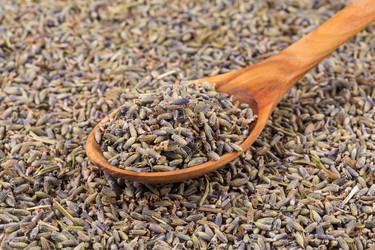 Similar image 11503095