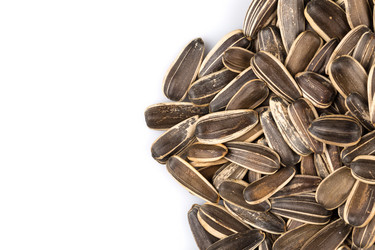 Similar image 11503097