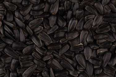 Similar image 11503104