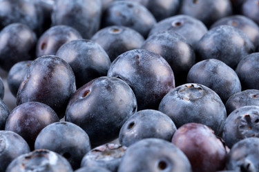 Similar image 11503105