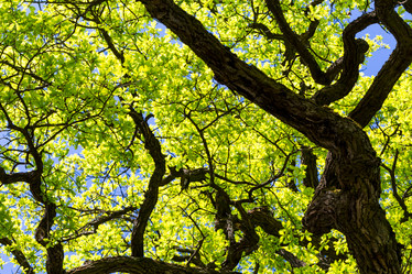 Similar image 11503108