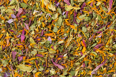 Similar image 11503111