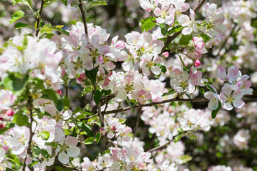 Similar image 11503112