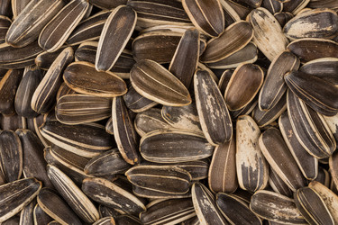 Similar image 11503118