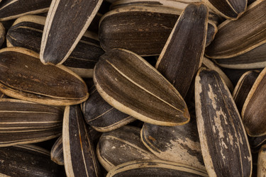 Similar image 11503124