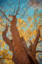 Similar image 11502829