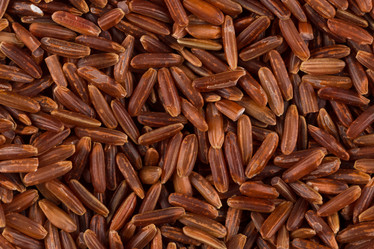 Similar image 11502833