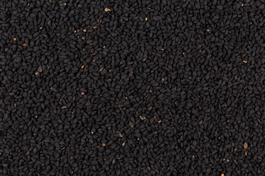 Similar image 11502836