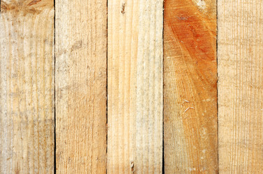 Similar image 11497840