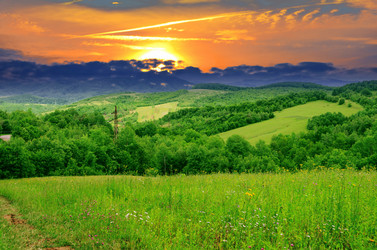 Similar image 11497841