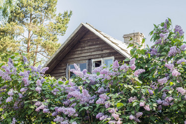 Similar image 11499139