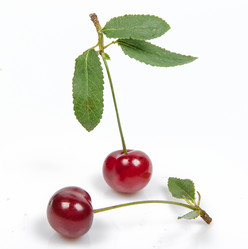 Similar image 11499155