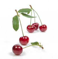 Similar image 11499156