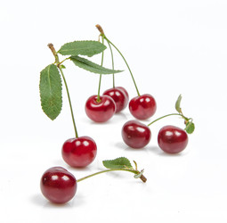 Similar image 11499157