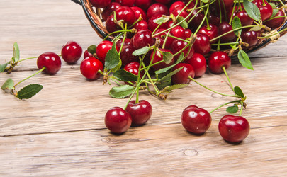 Similar image 11499160