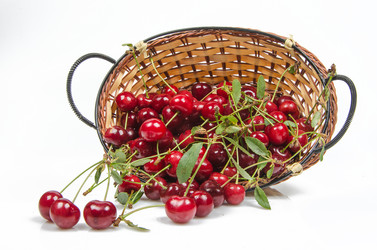 Similar image 11499161