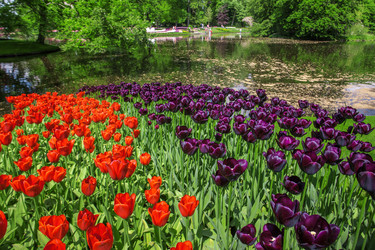 Similar image 11500923