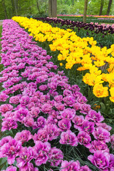 Similar image 11500933