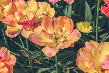 Similar image 11500938