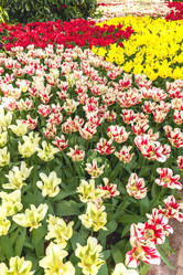 Similar image 11500940