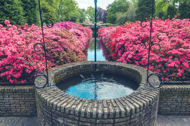 Similar image 11500958