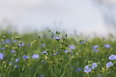 Similar image 11498742