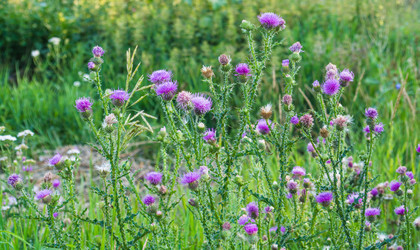 Similar image 11498743