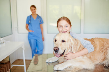 Similar image 11500199