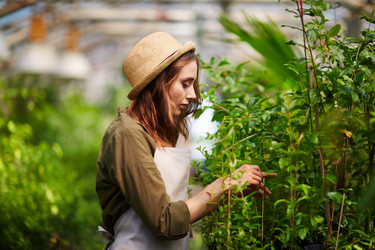 Similar image 11500267