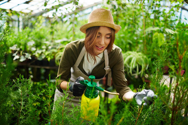 Similar image 11500271