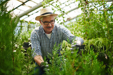 Similar image 11500275