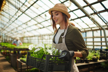 Similar image 11500276