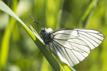 Similar image 11501851