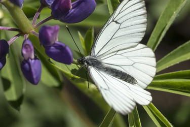 Similar image 11501854