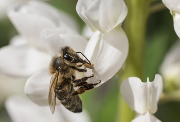 Similar image 11501855