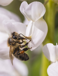 Similar image 11501856