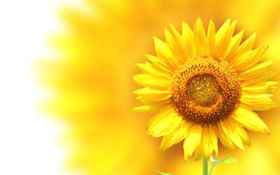 Similar image 11500490