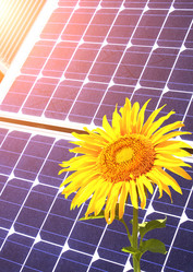 Similar image 11500492