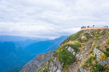 Similar image 11500139