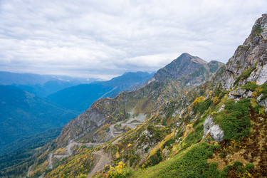 Similar image 11500372