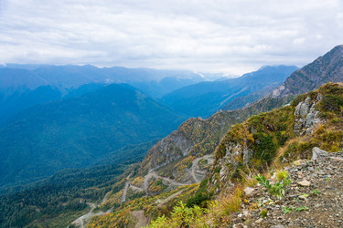 Similar image 11500402